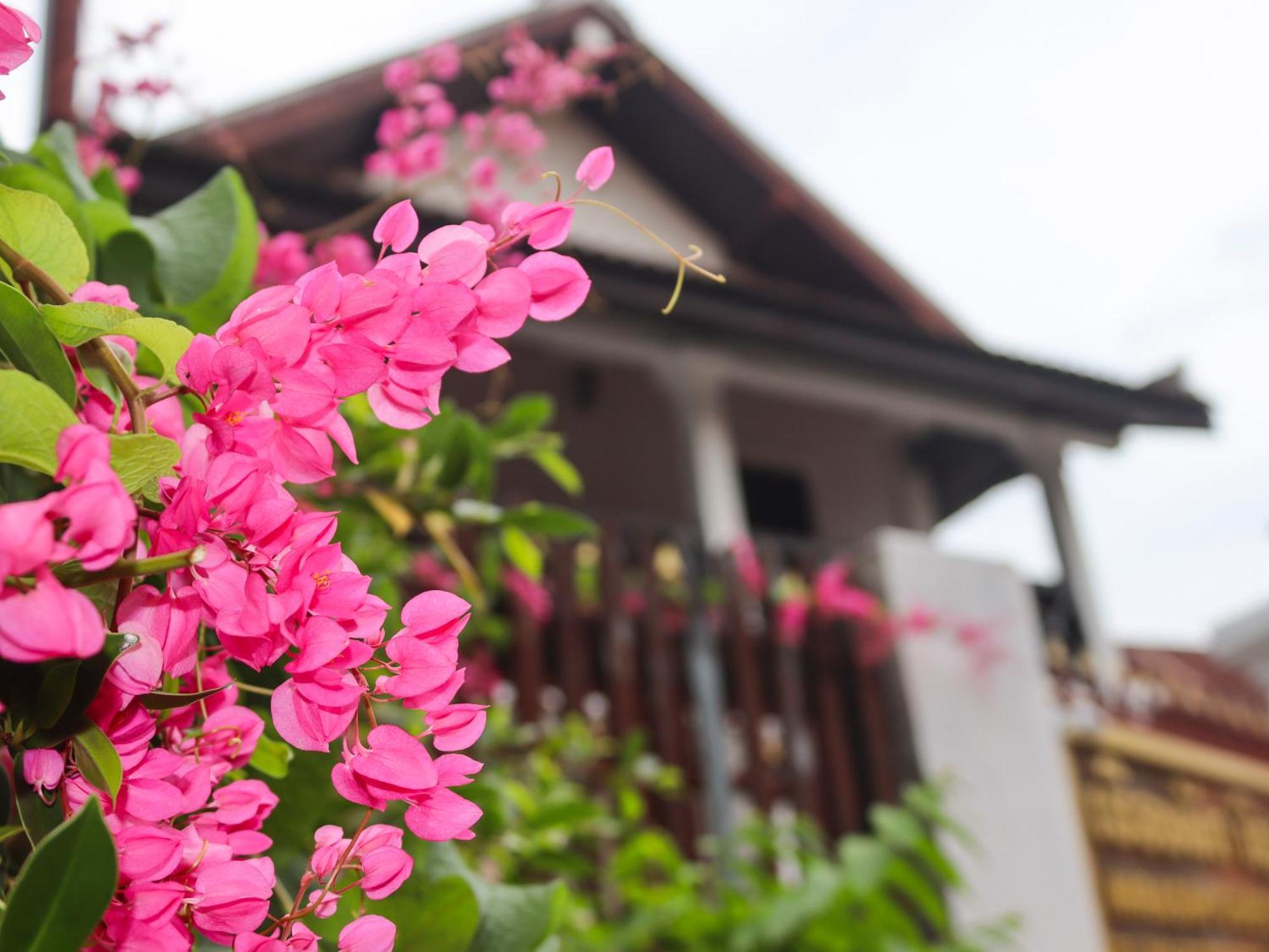 Nirasim Villa หลวงพระบาง ภายนอก รูปภาพ